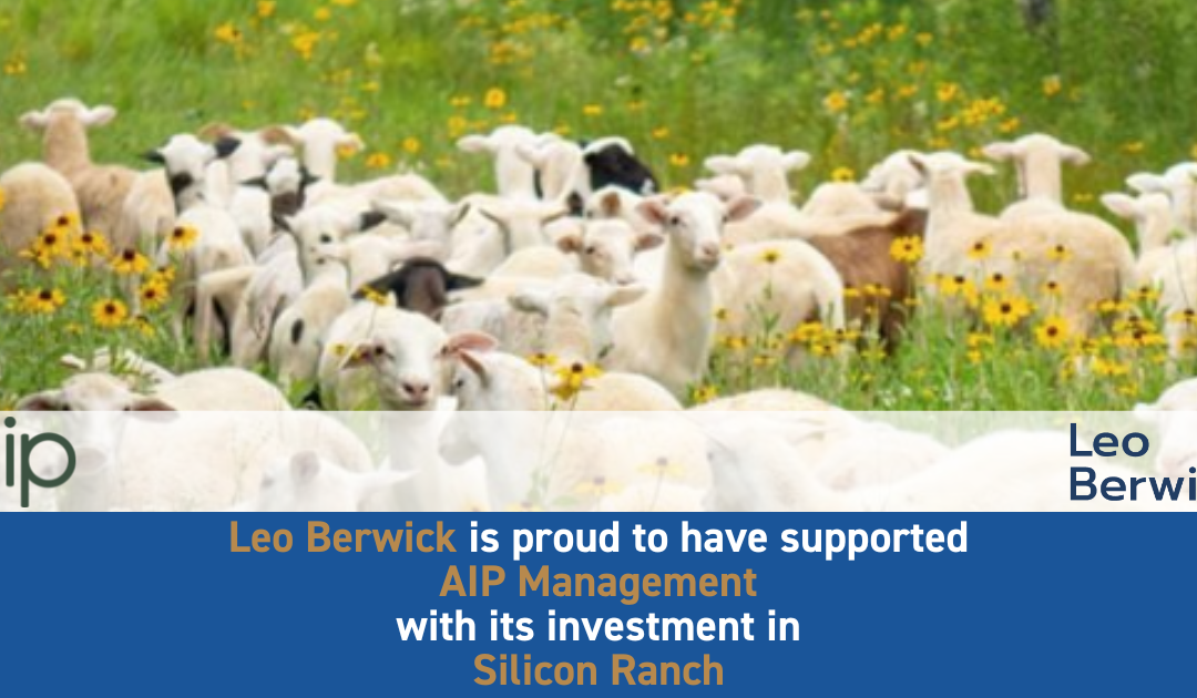 Leo Berwick supports AIP Management with its investment in Silicon Ranch