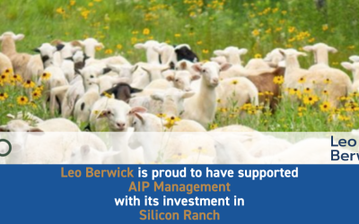 Leo Berwick supports AIP Management with its investment in Silicon Ranch