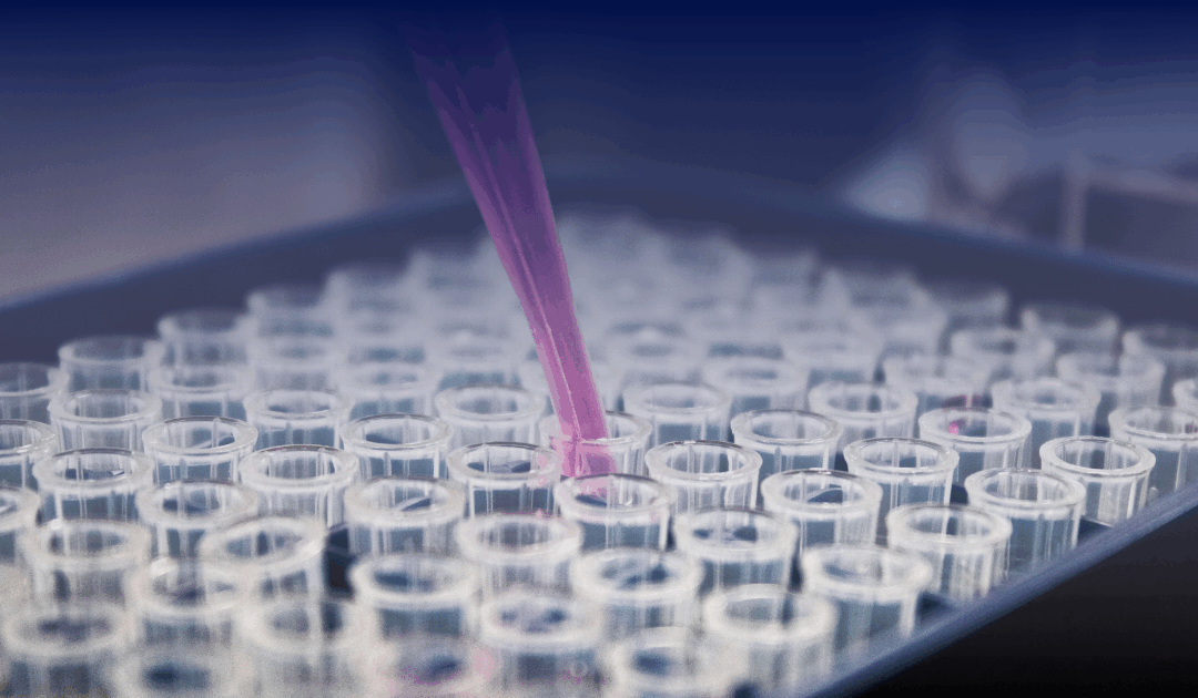 Leo Berwick supports Rovia Clinical Research, backed by Gauge Capital, in its acquisitions of StudyMetrix Research and Coastal Research Institute
